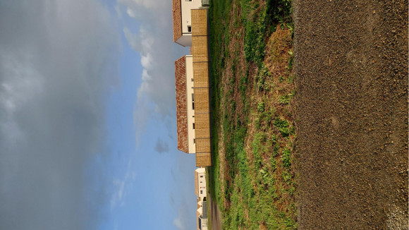 St vincent Les roselières b.jpg