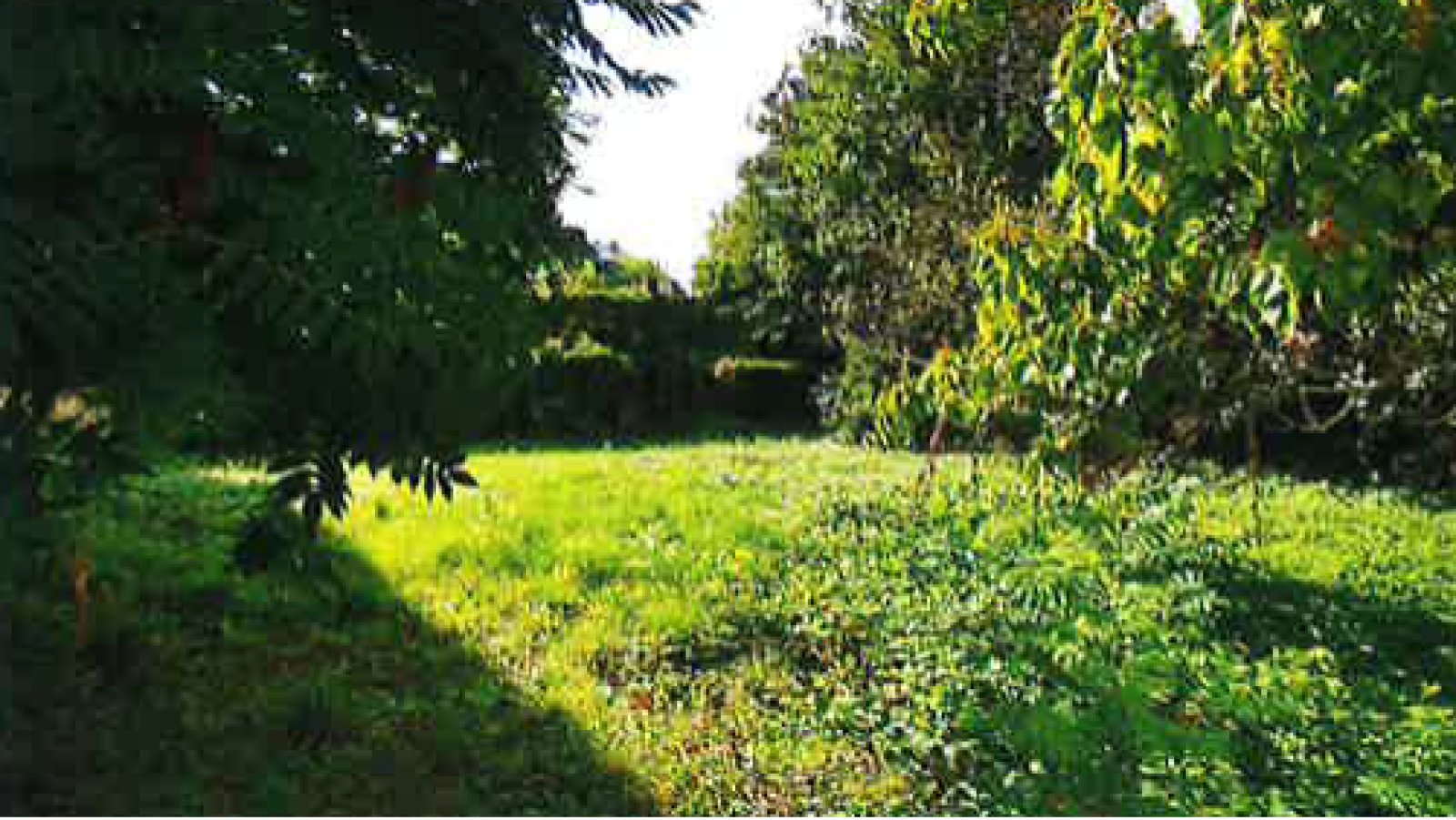 Terrain constructible de 813m2 à Bèze/ image 1