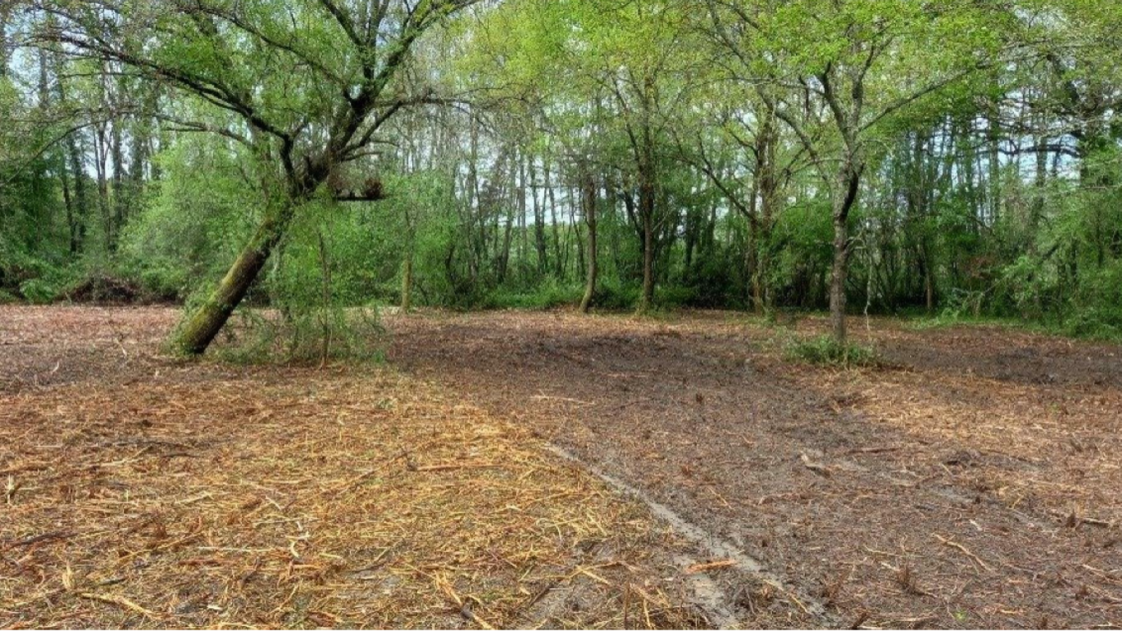 Terrain constructible de 600m2 à Cestas/ image 1