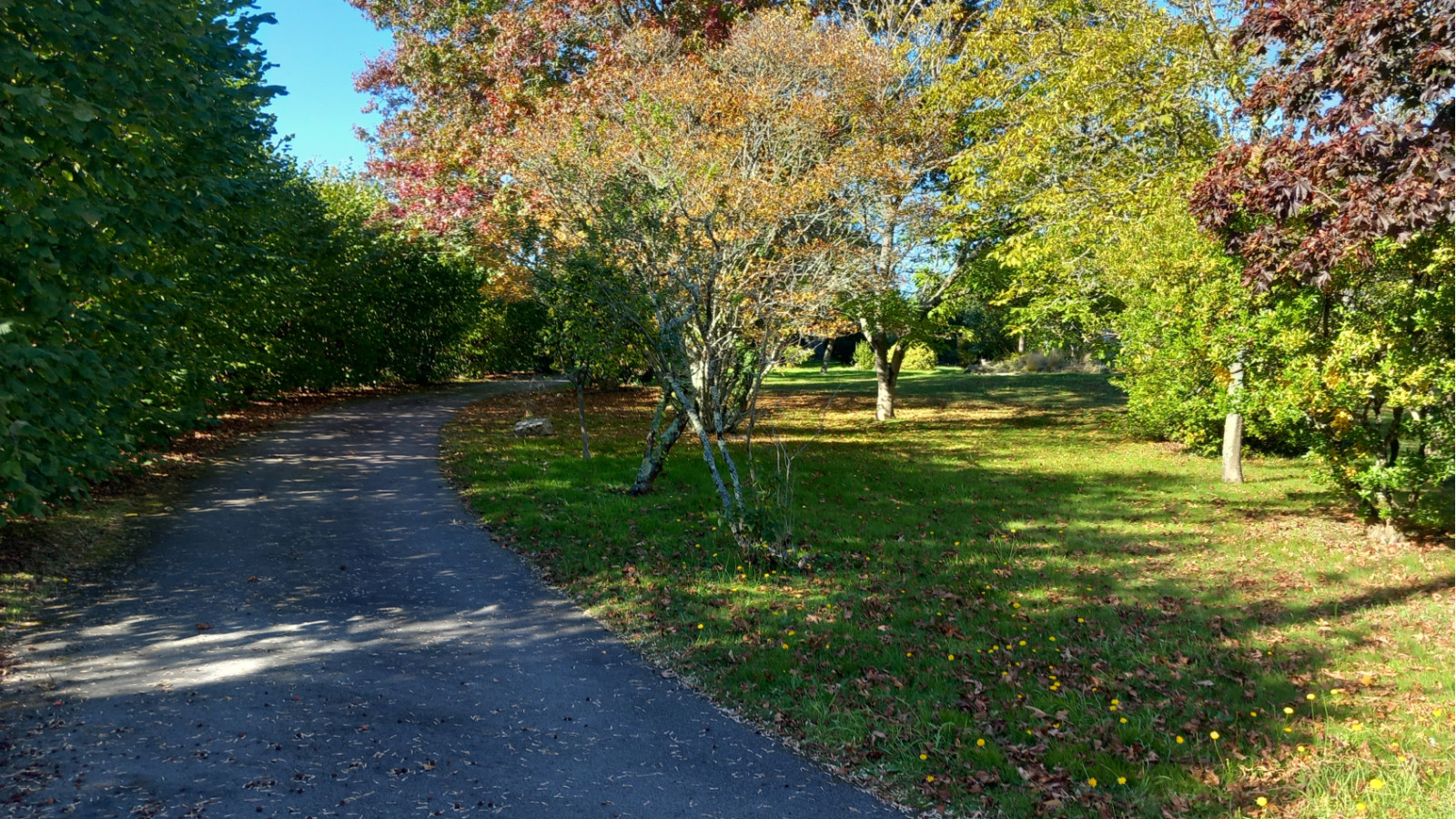 Terrain constructible de 1230m2 à Ploemeur/ image 1