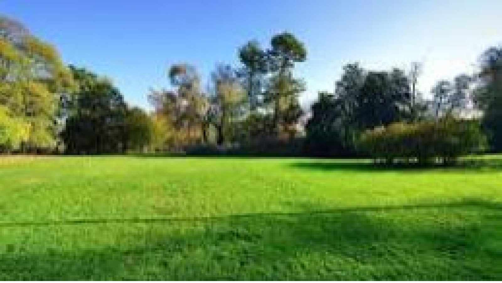 Terrain constructible de 225m2 à Nouvoitou/ image 1
