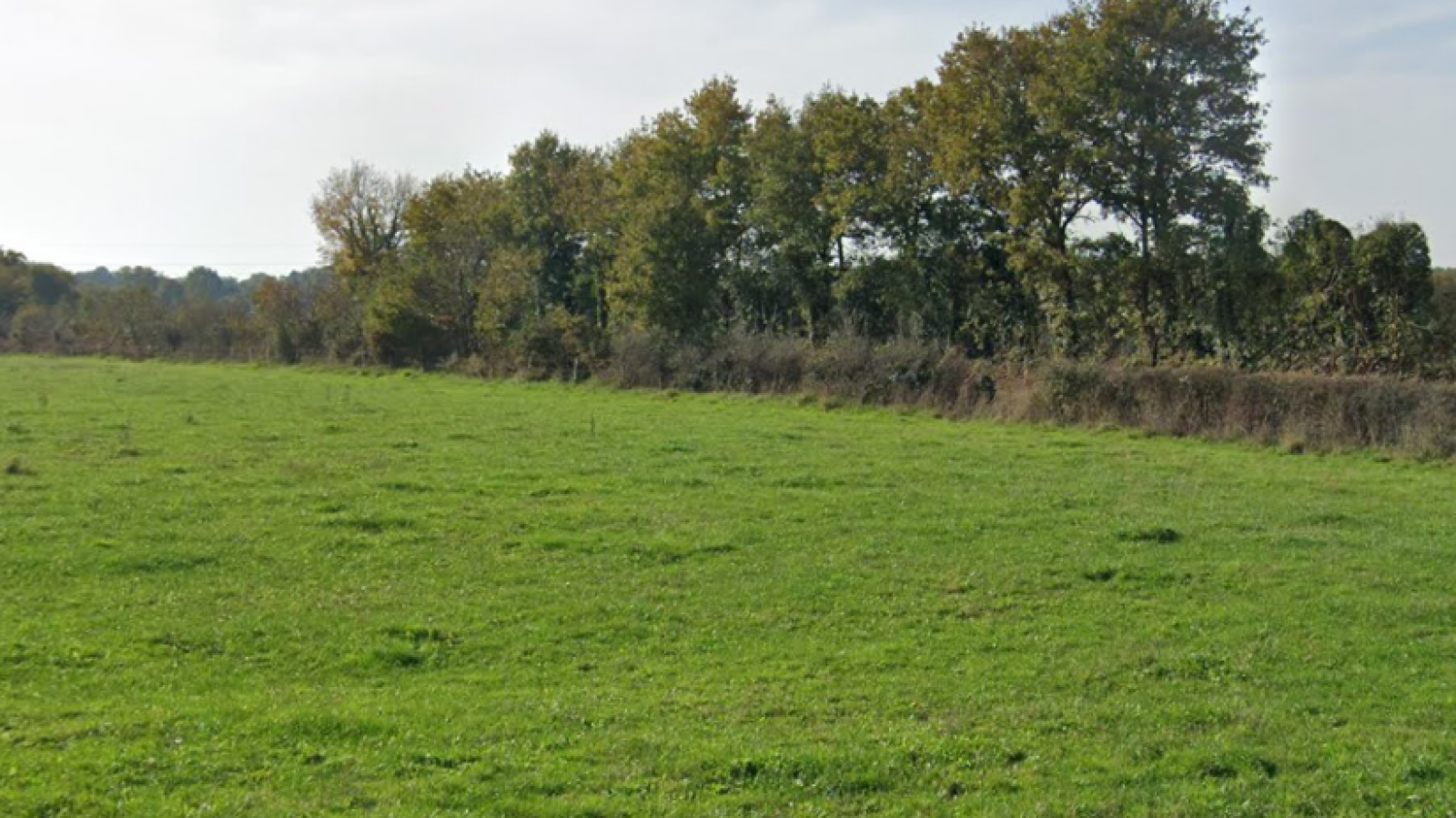 Terrain constructible de 730m2 à Mauves-sur-Loire/ image 1