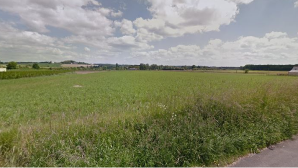 photo jarze(1).PNG