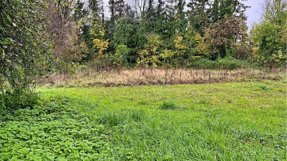 Photo Terrain.jpg
