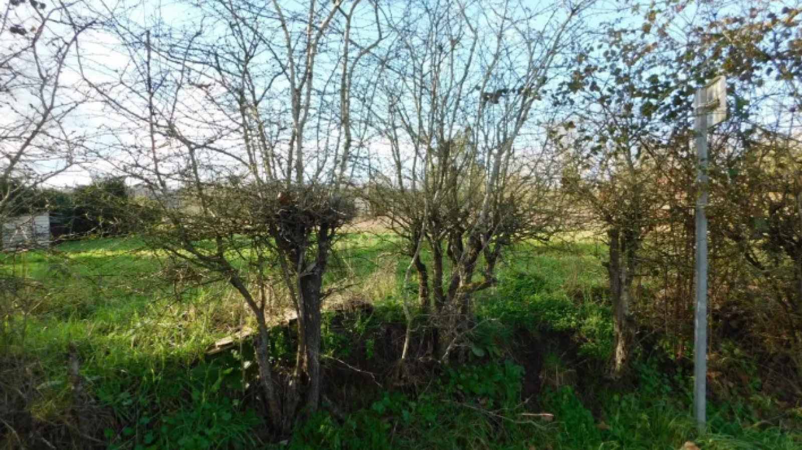 Terrain constructible de 805m2 à Les Hauts-d'Anjou/ image 1