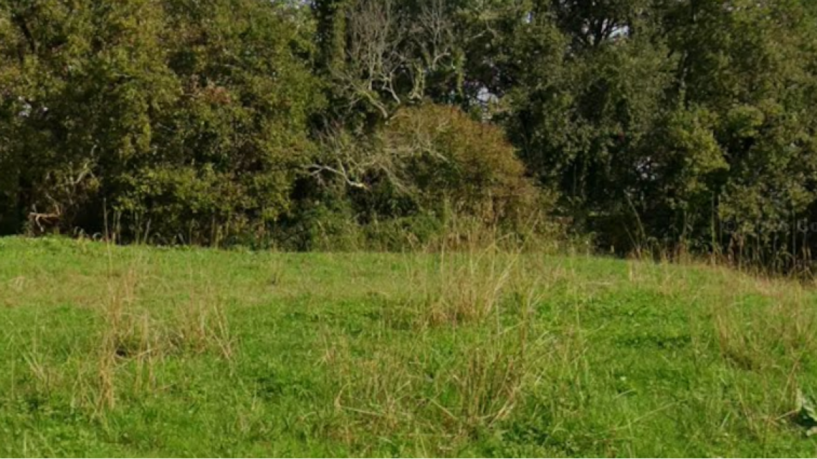 Terrain constructible de 665m2 à Sainte-Marie-de-Gosse/ image 1