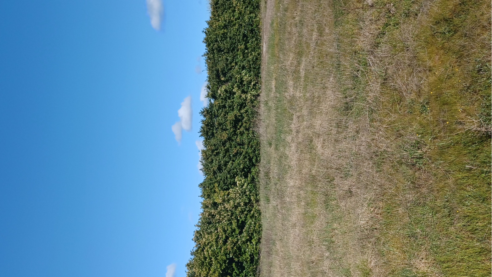 Terrain constructible de 602m2 à Léognan/ image 1