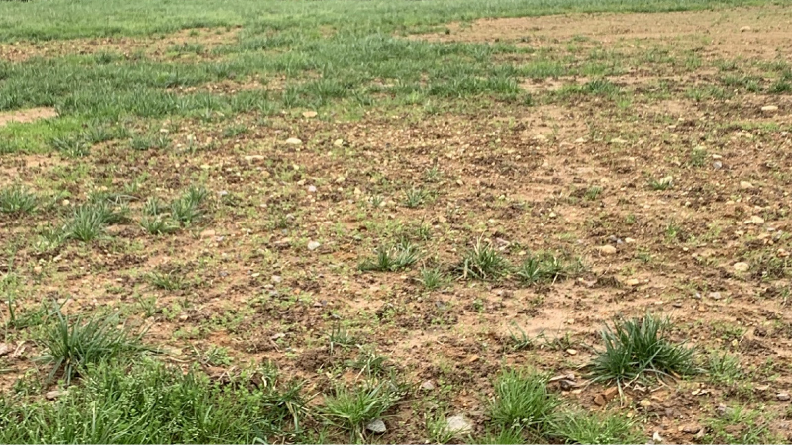 Terrain constructible de 456m2 à Montussan/ image 1