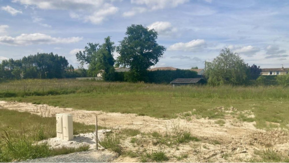 66.jpg