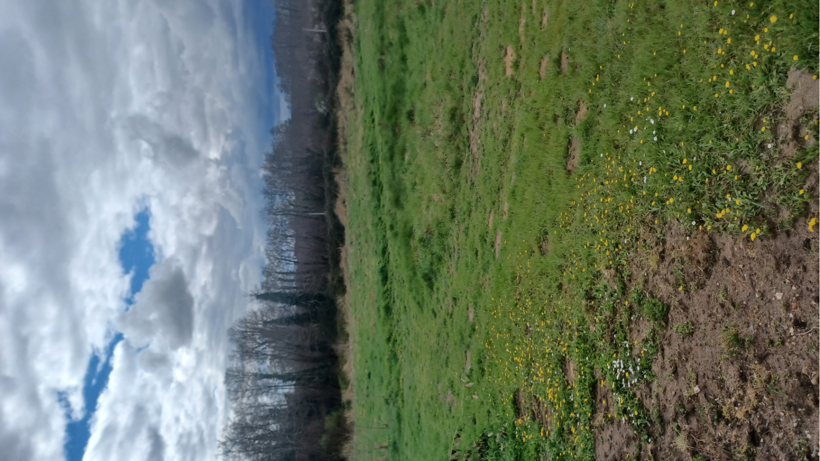 Terrain constructible de 608m2 à Saint-Quentin-de-Baron/ image 1