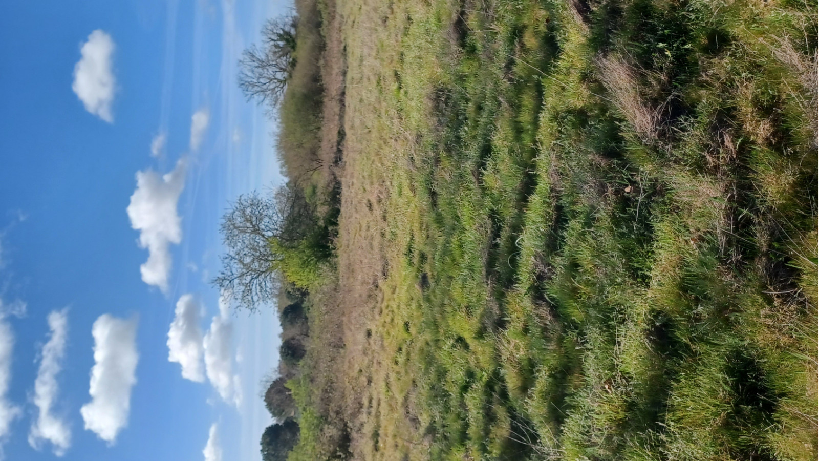 Terrain constructible de 659m2 à Landiras/ image 1