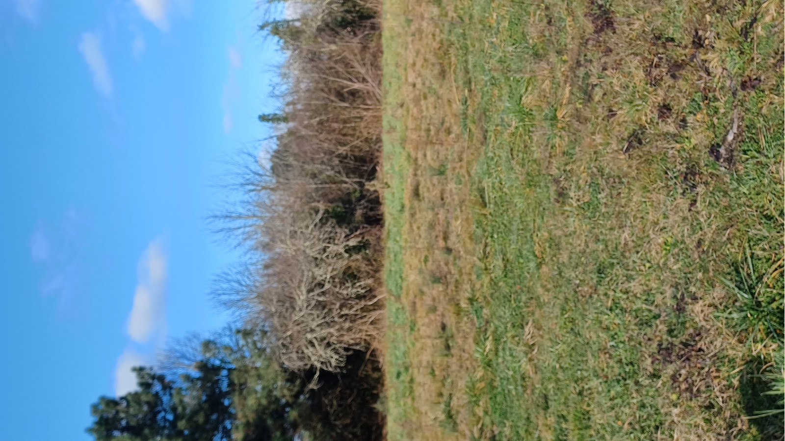 Terrain constructible de 437m2 à Margaux-Cantenac/ image 1