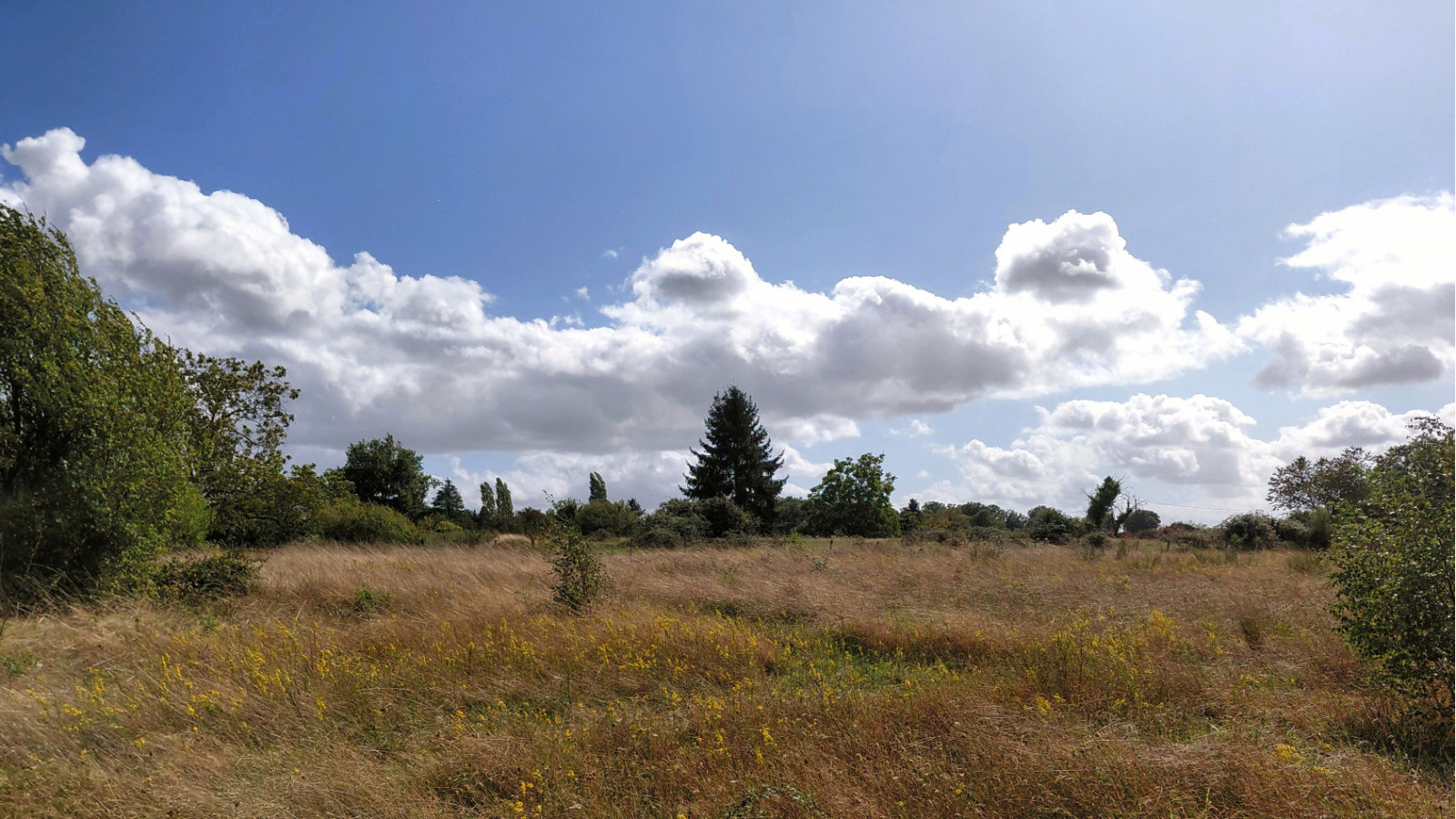 Terrain constructible de 522m2 à Cormery/ image 1