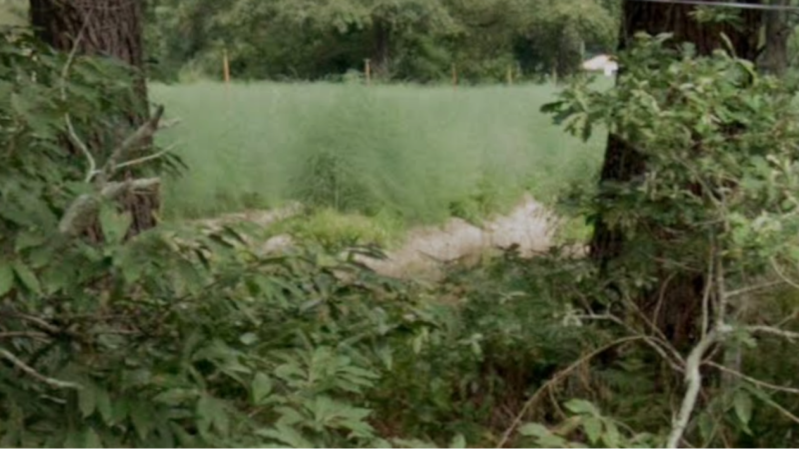 Terrain constructible de 969m2 à Soustons/ image 1