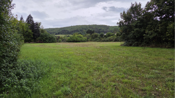 Terrain Gissey sur ouche.jpg