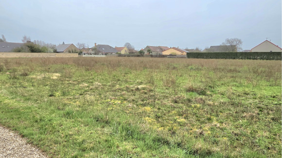 Terrain Trouhans 665 m2.jpg