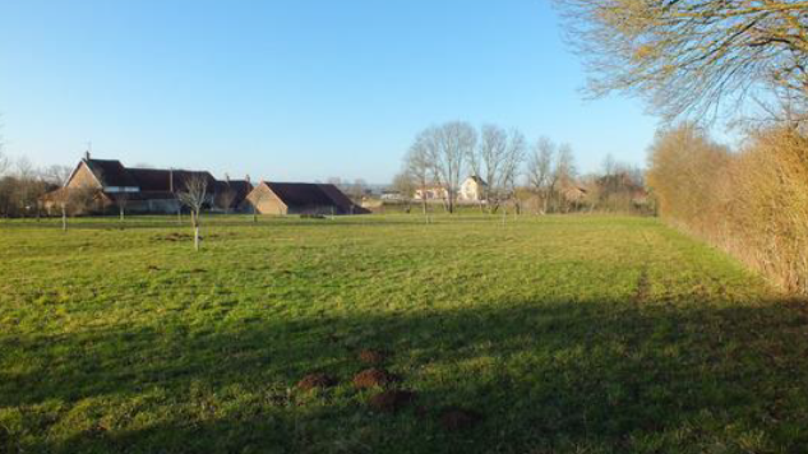 Terrain constructible de 5990m2 à Musigny/ image 1