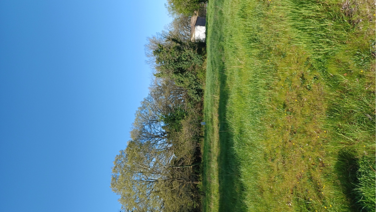 Terrain constructible de 545m2 à Brach/ image 1