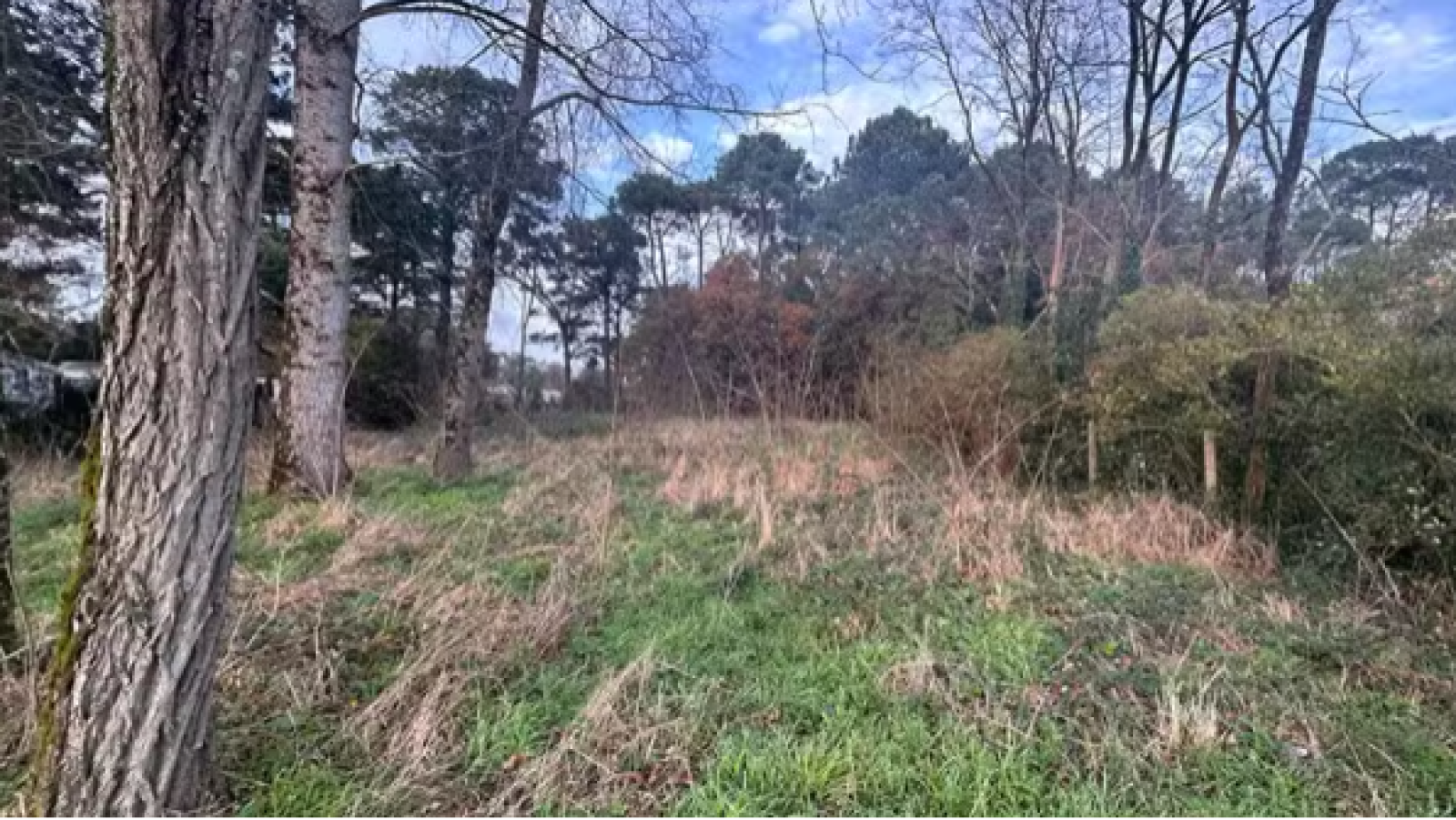 Terrain constructible de 304m2 à Apremont/ image 1