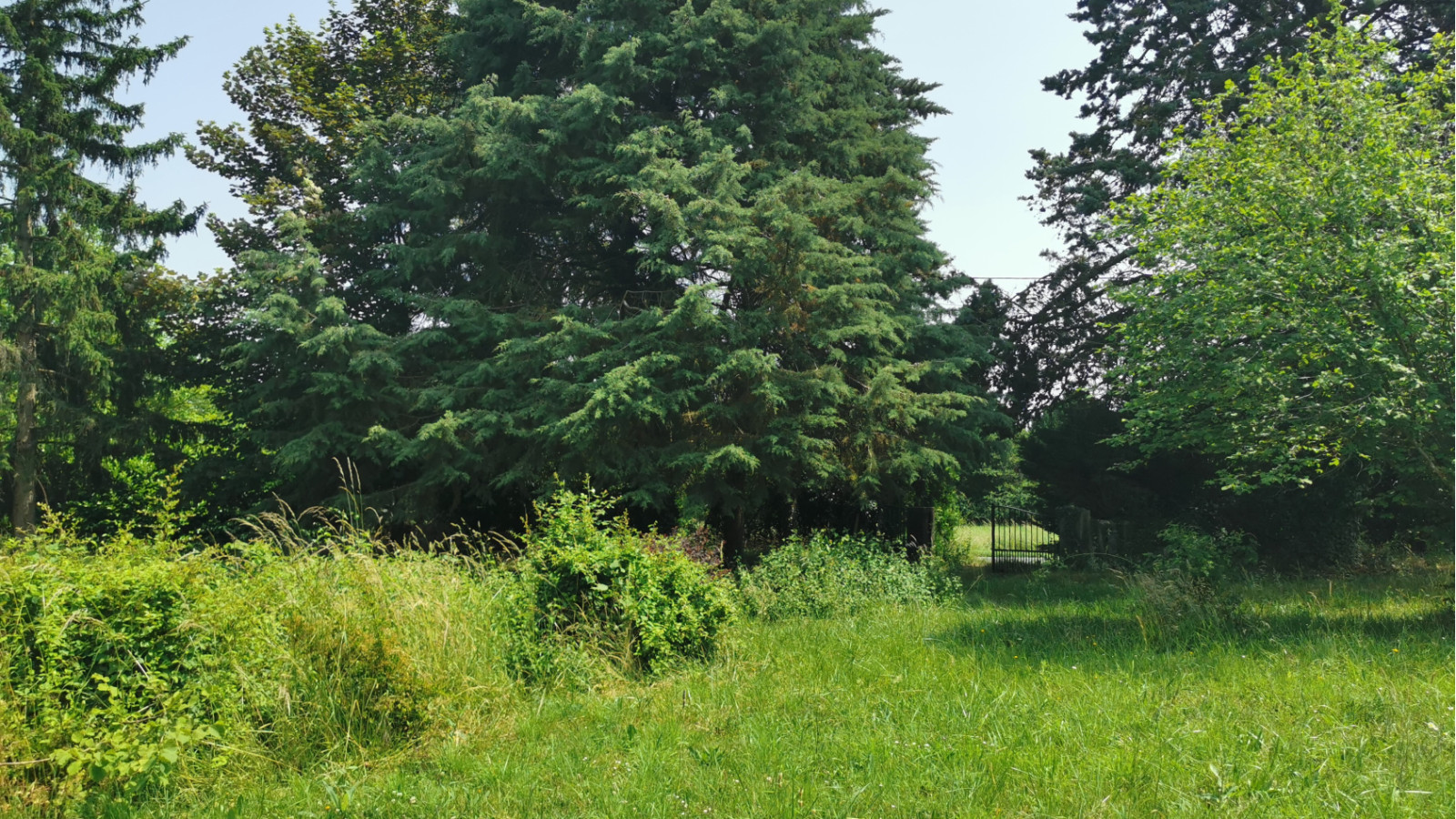Terrain constructible de 886m2 à Savonnières/ image 1