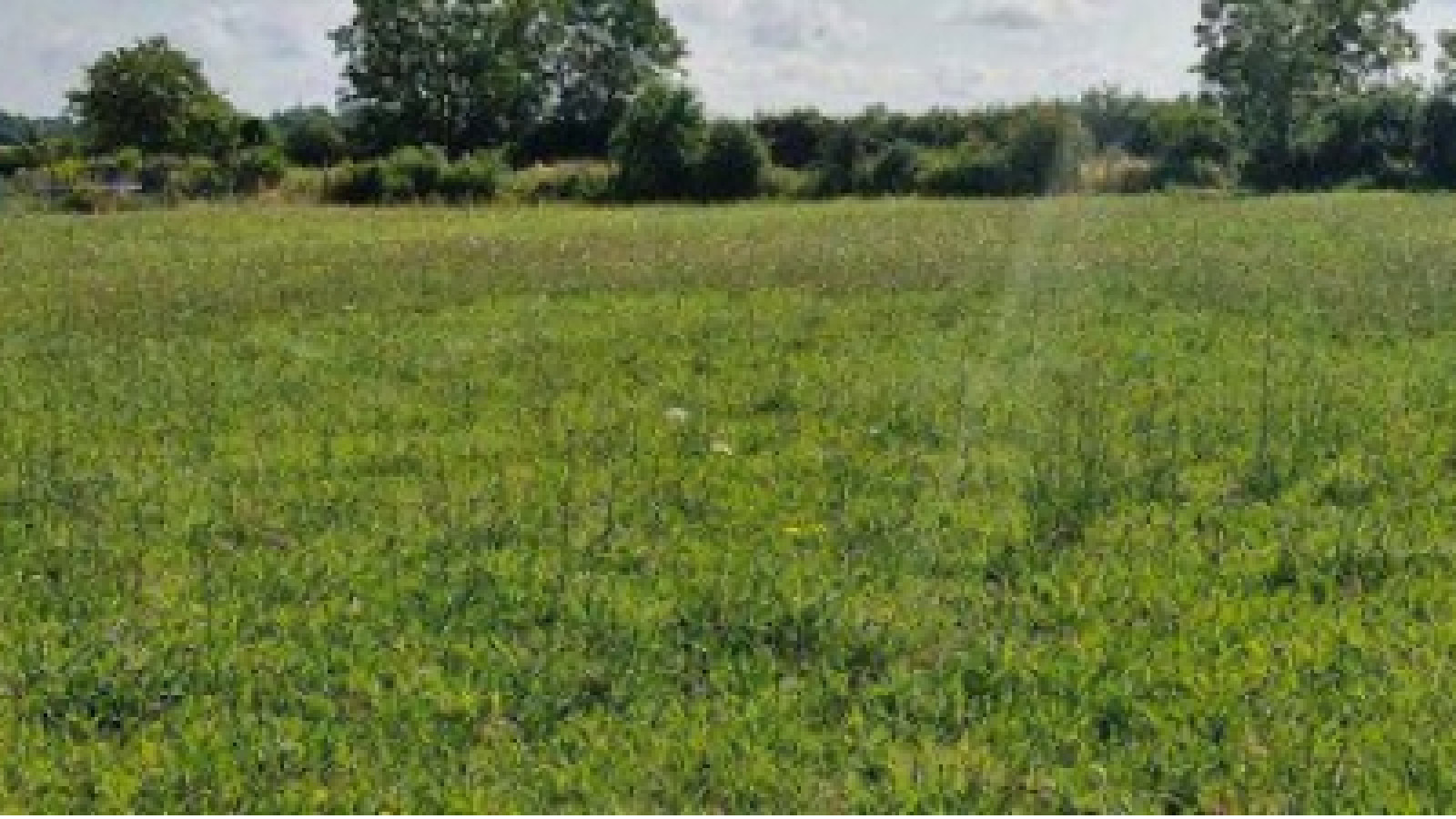 Terrain constructible de 800m2 à Savigné-sur-Lathan/ image 1