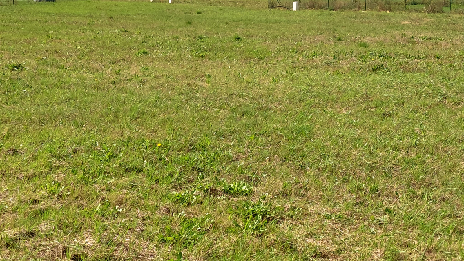 Terrain constructible de 533m2 à Tauxigny-Saint-Bauld/ image 1