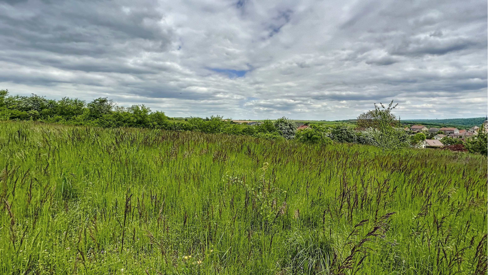 Terrain constructible de 1505m2 à Francheville/ image 1