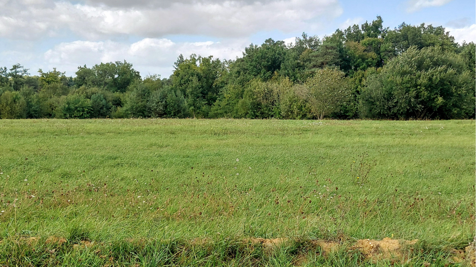 Terrain constructible de 407m2 à Lignières-de-Touraine/ image 1