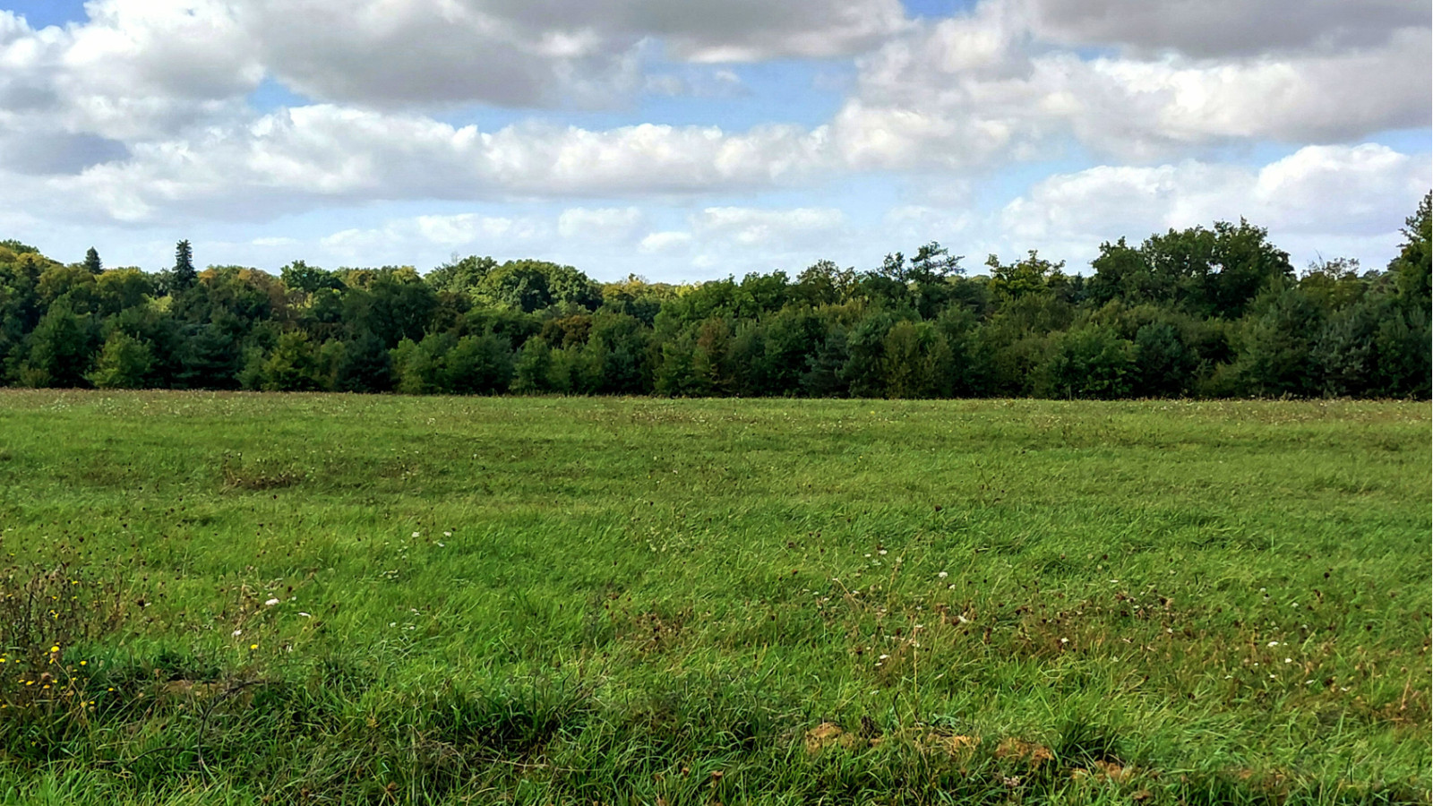 Terrain constructible de 428m2 à Mettray/ image 1
