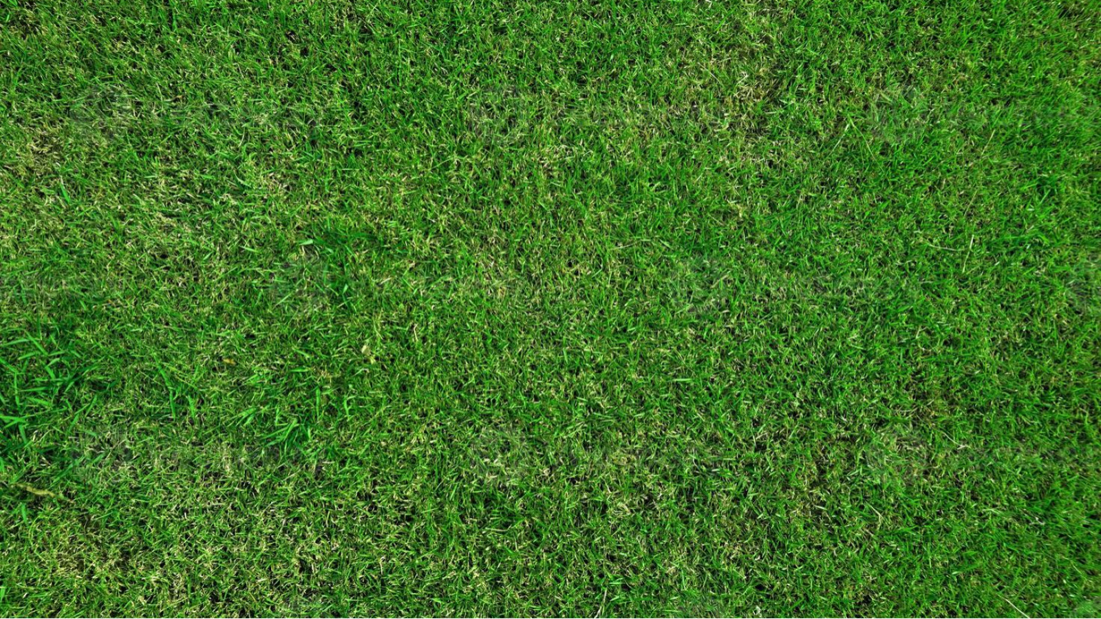 Terrain constructible de 513m2 à Saint-Laurent-en-Gâtines/ image 1