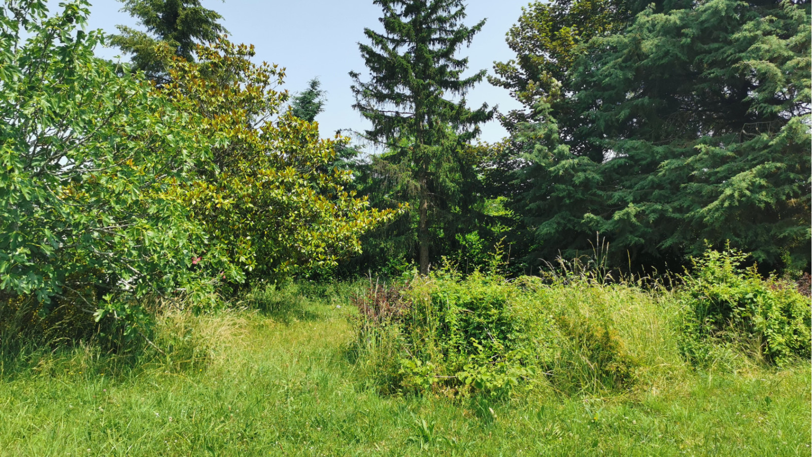 Terrain constructible de 1132m2 à Savonnières/ image 1