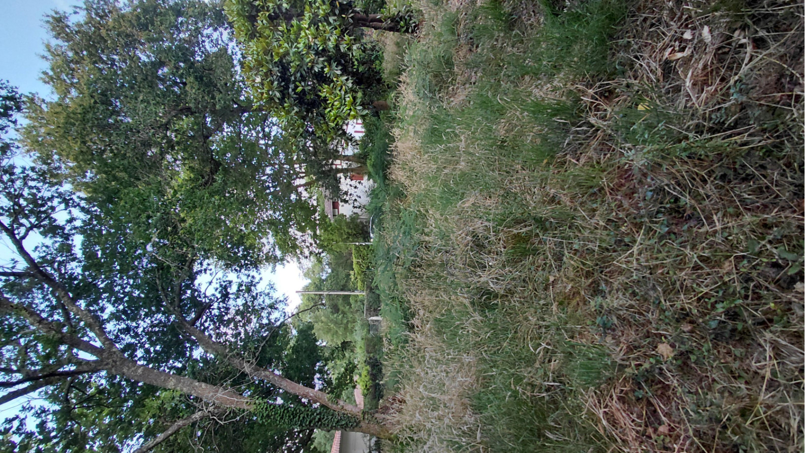 Terrain constructible de 850m2 à Messanges/ image 1