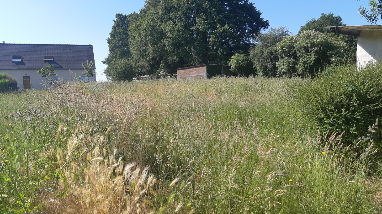 Terrain constructible de 760m2 à Sainte-Anne-sur-Brivet/ image 1
