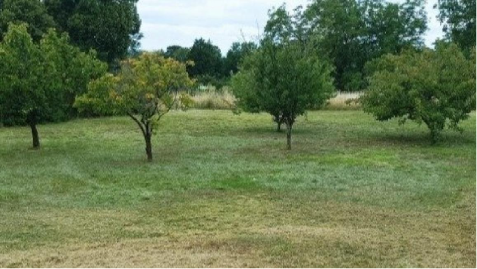 Terrain constructible de 1373m2 à Les Bois d'Anjou/ image 1