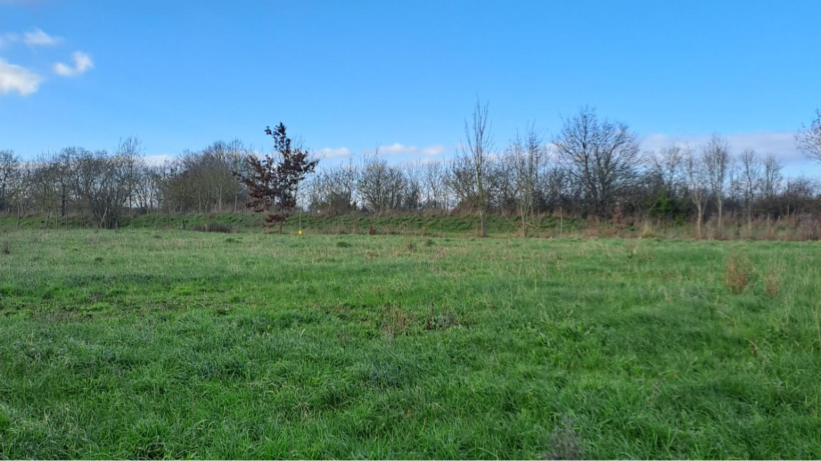 Terrain constructible de 1303m2 à Beaufort-en-Anjou/ image 1