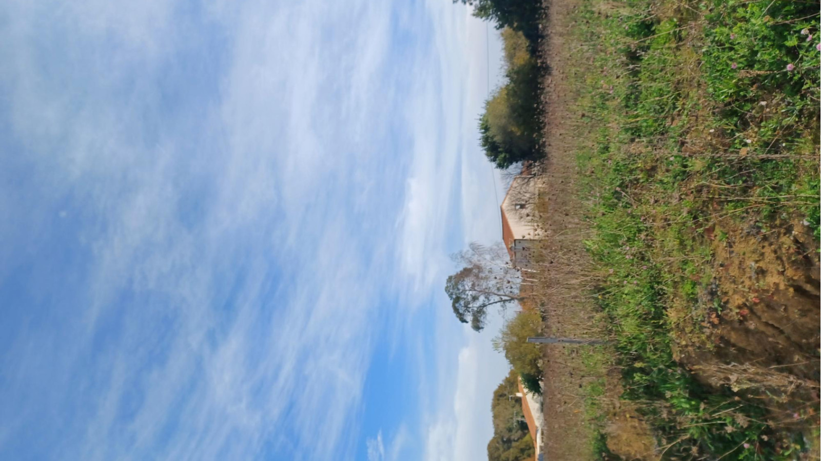 Terrain constructible de 600m2 à Saint-Hilaire-de-Chaléons/ image 1