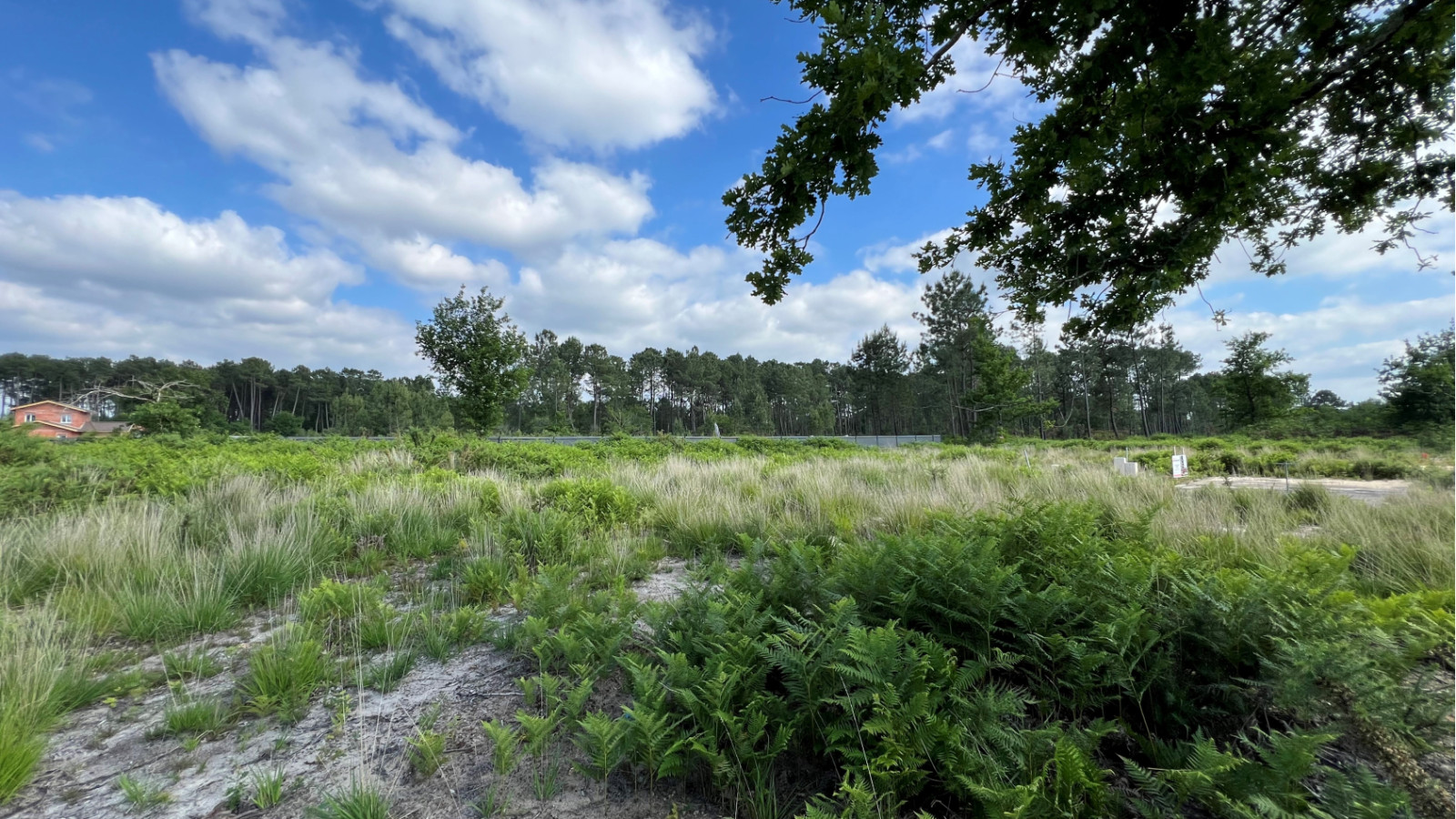 Terrain constructible de 366m2 à Belin-Béliet/ image 1