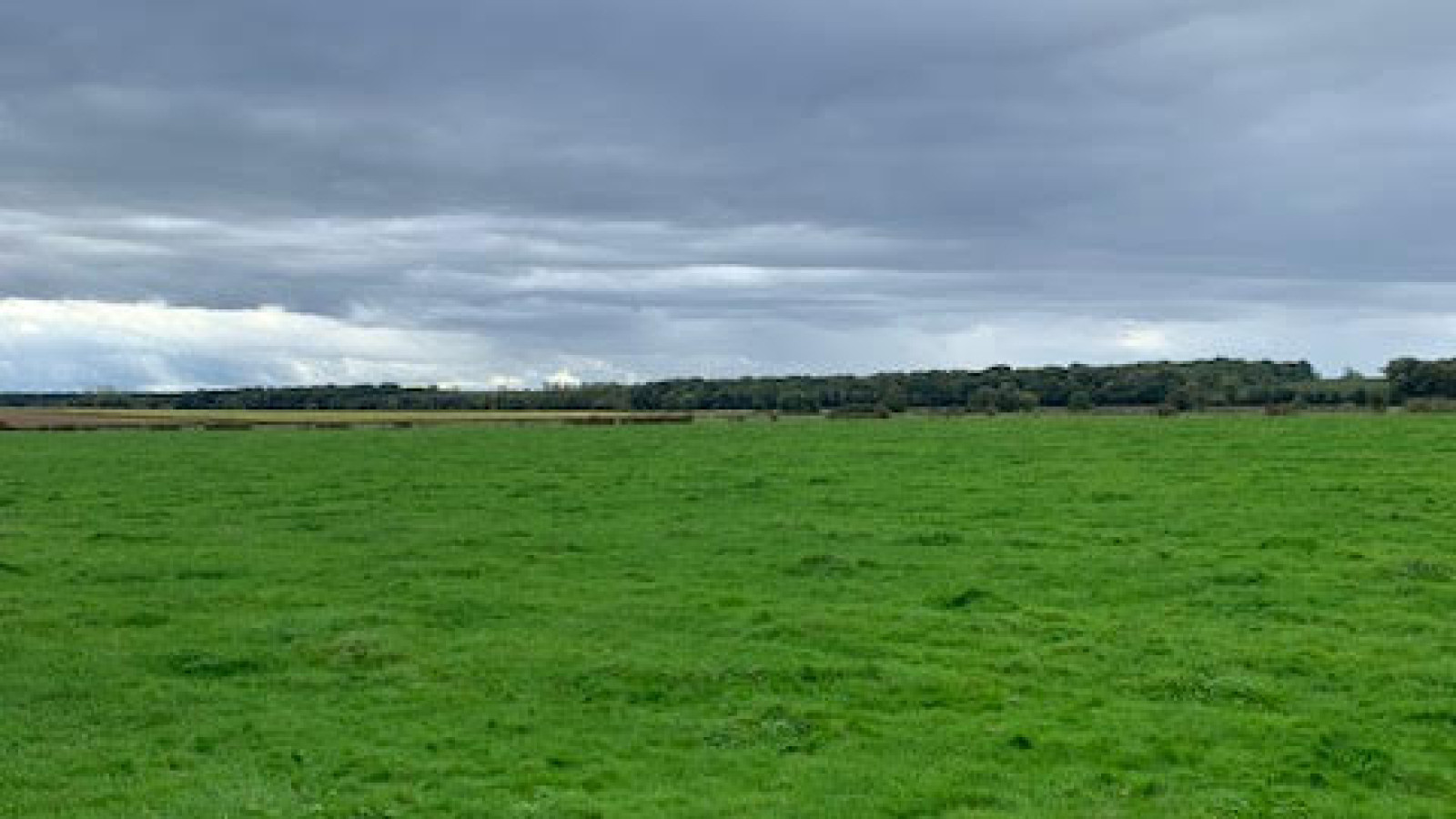 Terrain constructible de 300m2 à Villebichot/ image 1