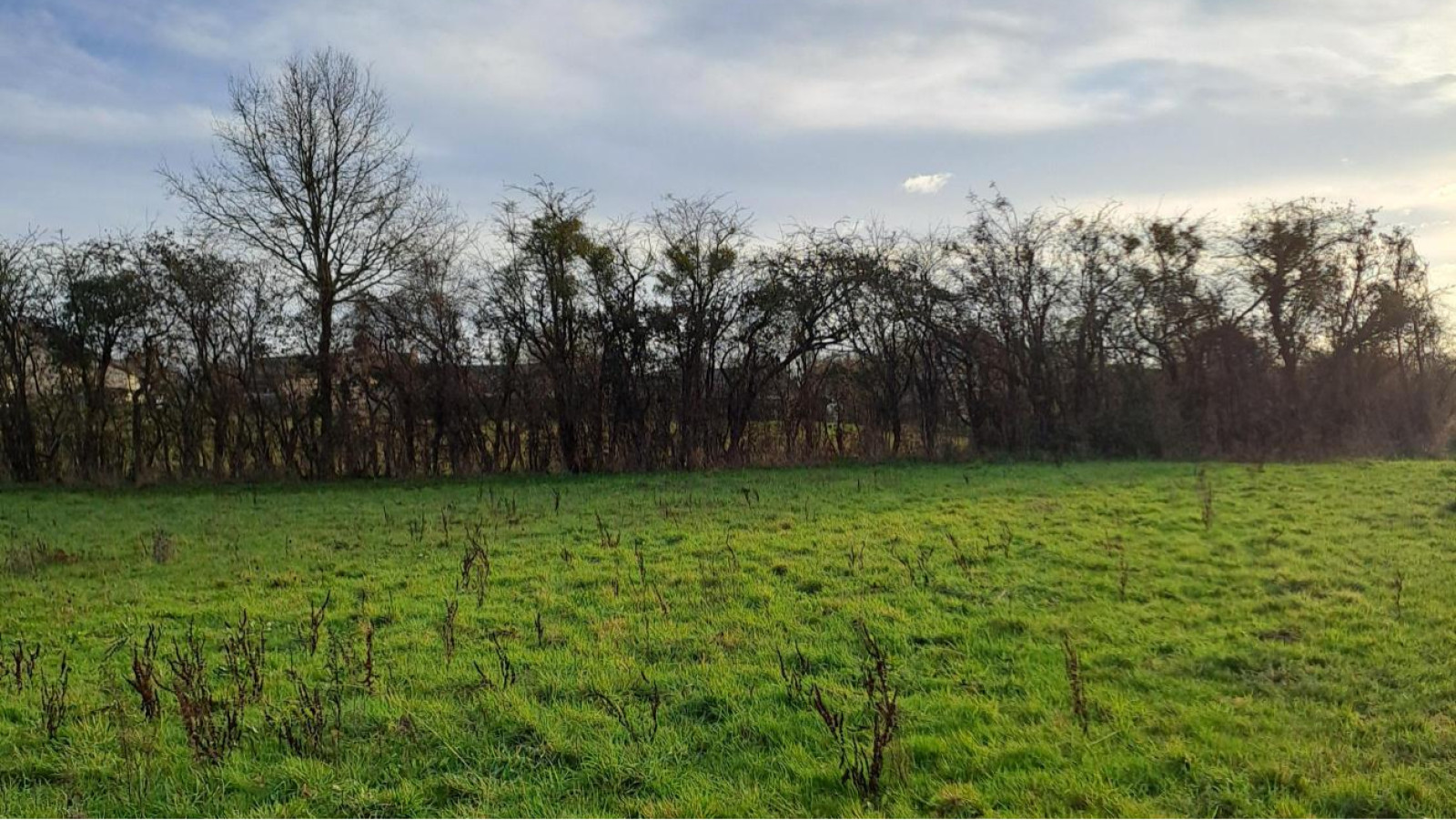 Terrain constructible de 444m2 à Val d'Erdre-Auxence/ image 1