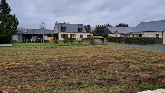 t16.jpg