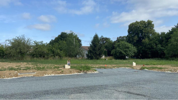 36.jpg