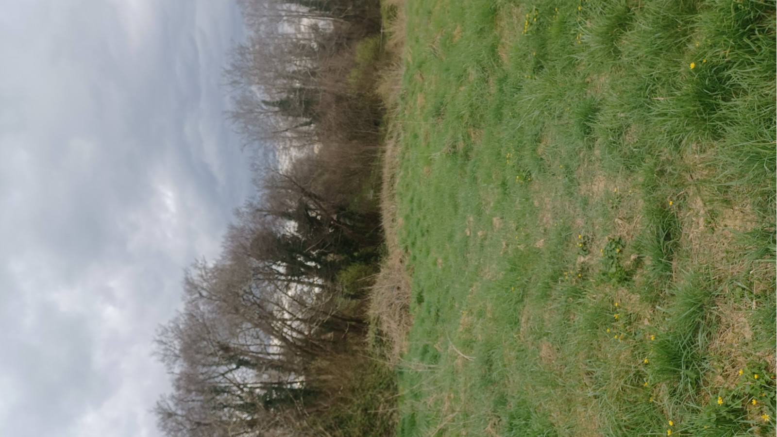 Terrain constructible de 974m2 à Bazas/ image 1