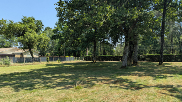 TERRAIN ST JEAN D ILLAC.png