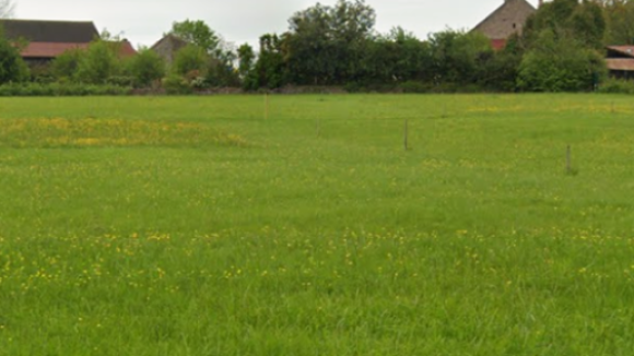 Image1.png