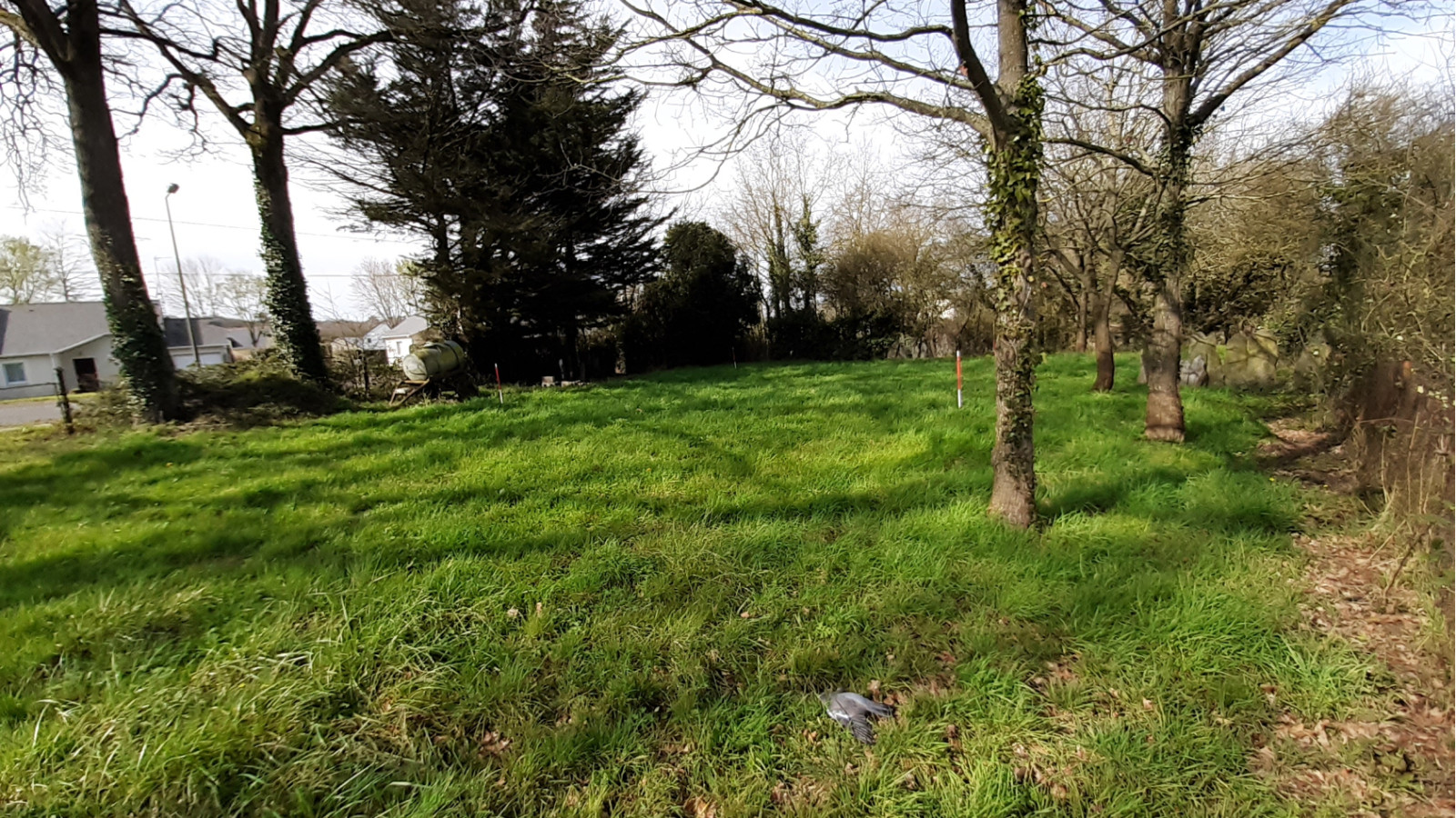 Terrain constructible de 748m2 à Hédé-Bazouges/ image 1