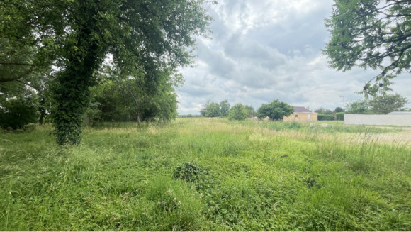 Photo Terrain.jpg