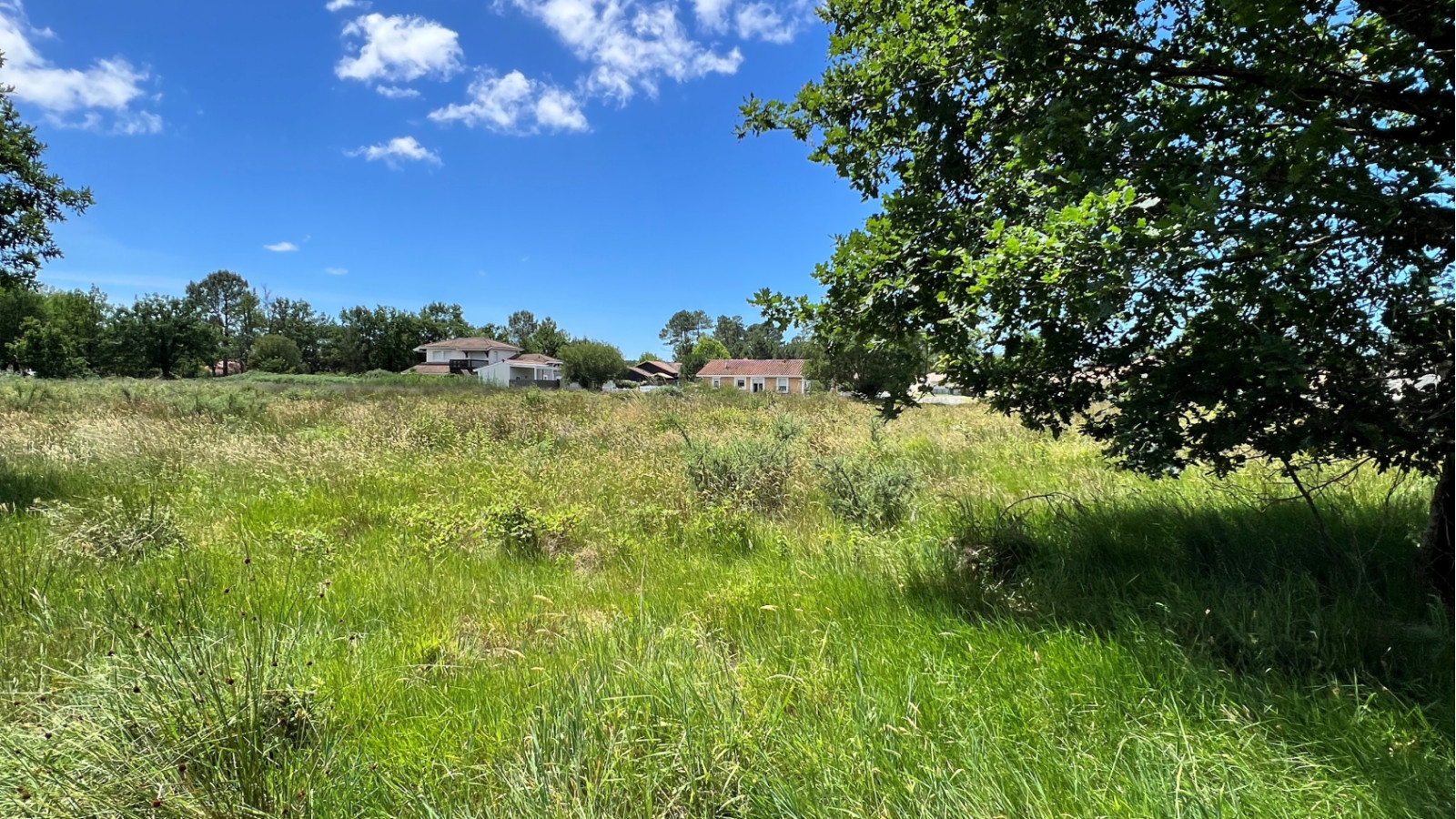 Terrain constructible de 990m2 à Aureilhan/ image 1