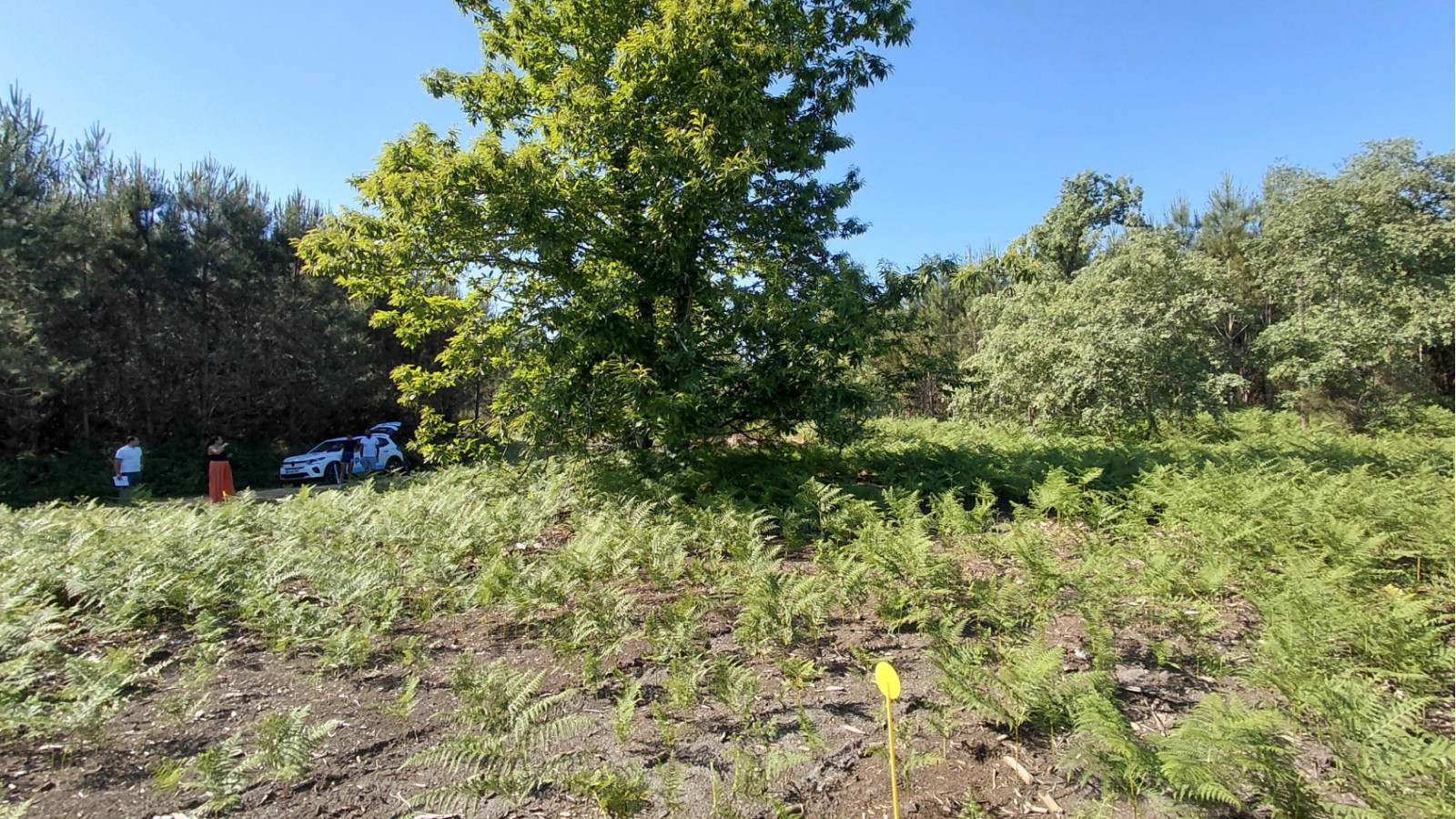 Terrain constructible de 400m2 à Saint-Avit/ image 1