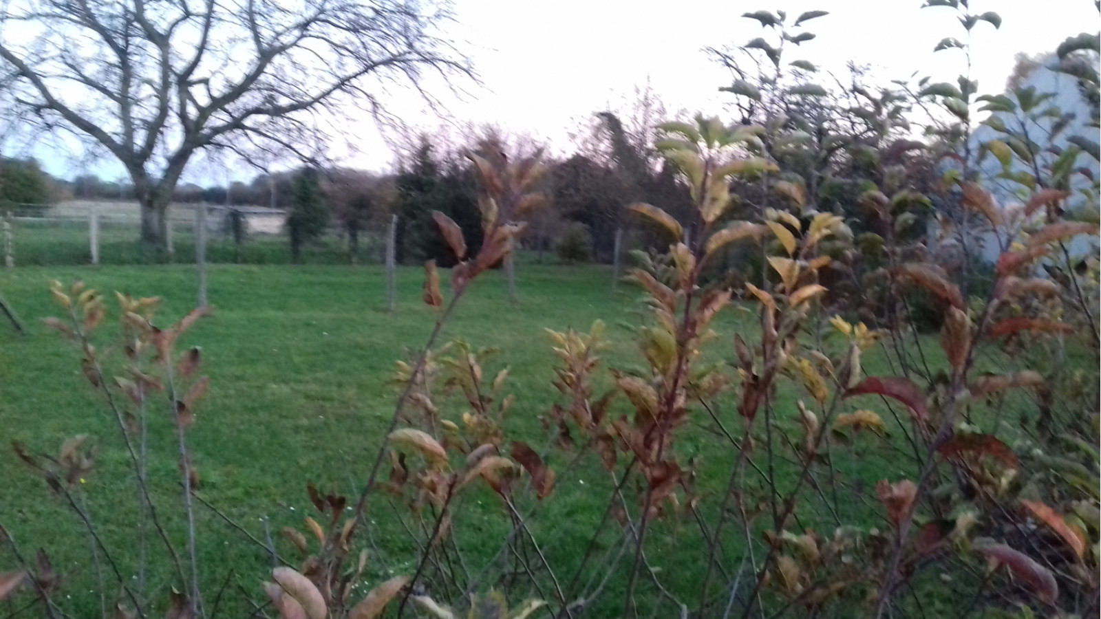 Terrain constructible de 900m2 à Beaune-la-Rolande/ image 1