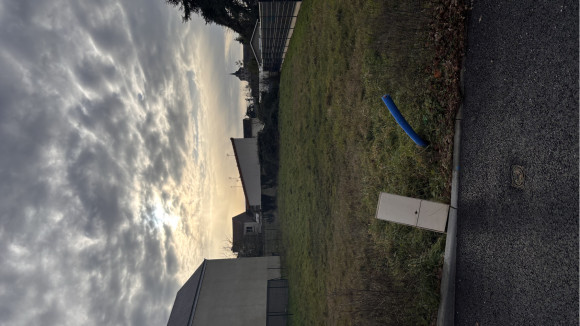 IMG_1241.jpeg
